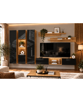 Living MP3 Stejar K003 +...